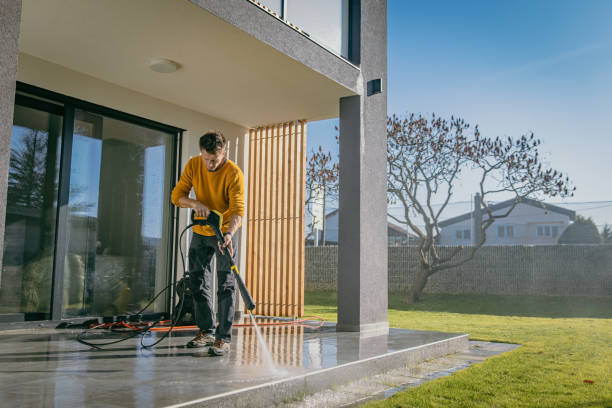 Best Roof Washing  in Wofford Heights, CA
